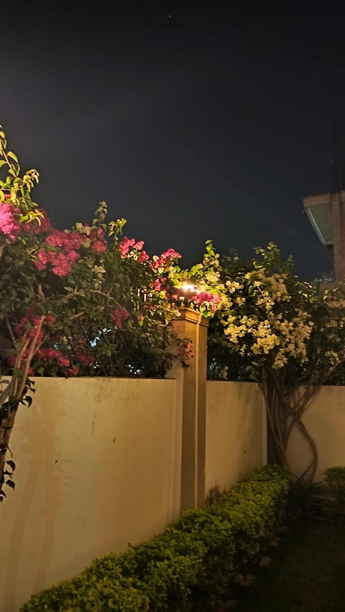 Shree Nanda Guest House 瓦拉纳西 外观 照片