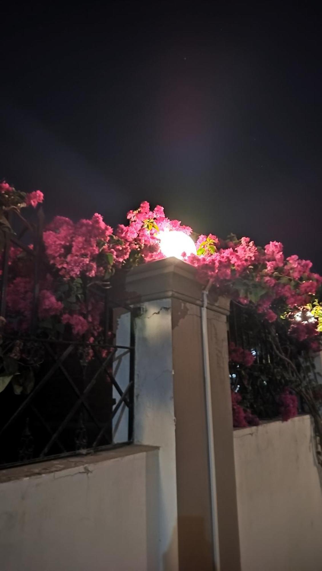 Shree Nanda Guest House 瓦拉纳西 外观 照片